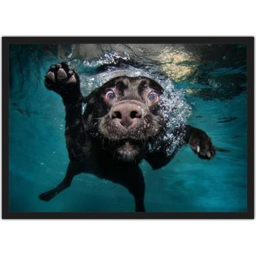 Imagem de Quadro Decorativo Animais Cão Piscina Pet Shop Com Moldura Salas - Vit