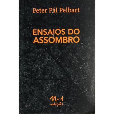 Imagem de Ensaios do assombro
