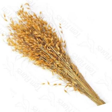 Imagem de Capim Dourado para Decoração Desidratado Flores Secas - Casa Home Deco