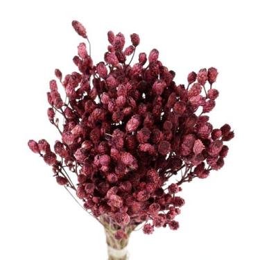 Imagem de Capim Ramo Rosa p/ Decoração - Oficina do Florista