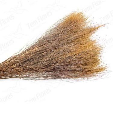 Imagem de Aspargo Vassora Natural Desidratado Buque Flores Secas - Tem Flores