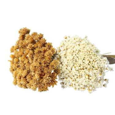 Imagem de Kit 1 Maço Sempre Viva Branca e 1 Maço Espetinho Natural - Pense Flore