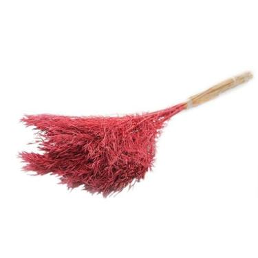 Imagem de Capim Chorão André Quicé Desidratado Flores Secas - Pense Flores, Verm