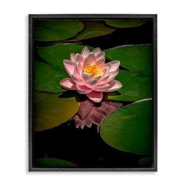 Imagem de Stupell Industries Arte de parede em tela flutuante cinza de lótus rosa entre lírios, design de Phillip Flowers, 53 x 43 cm