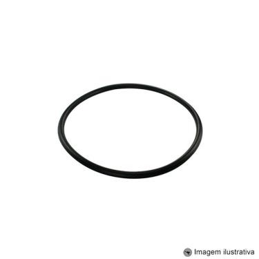 Imagem de Guarnição Módulo Combustível Fiesta 1.6 4C 16V 11 ... 13 / Fusion 2.0 4C 16V Hibrido / Eletrico 13 ... Omega 3.8 V6 12V 99 ... 11