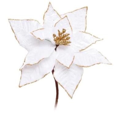 Imagem de Poinsetia bco/our (flores cabo curto) c/1 un - Cromus