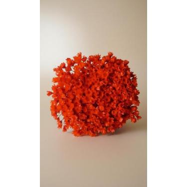 Imagem de Flores Sempre Vivas Vermelhas 500 Unid. Secas - Congratulations Store