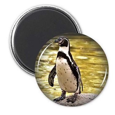 Imagem de Emblema de decoração de ímã de geladeira com pinguim do oceano sul da ciência da Antártica