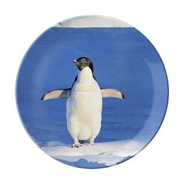 Imagem de Lindo pinguim branco ciência natureza placa decorativa de porcelana salver louça de jantar