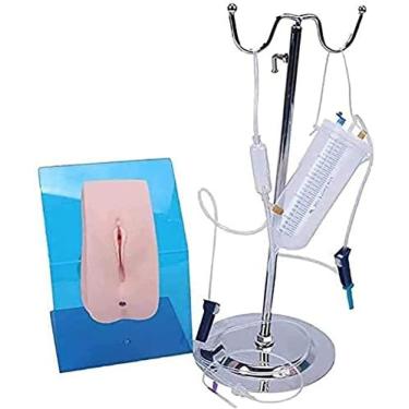 Imagem de Feminino Masculino Modelo de Cateterismo Avançado Vestido Masculino Modelo de Cateterismo Prática Enfermagem Cateterismo Treinamento de Habilidades Modelo de Ensino Para Médicos Enfermeira,