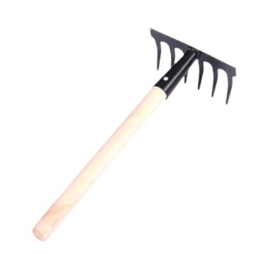 Imagem de Baoblaze a raquia de água do mar aço de água do mar de aço fundido de areia de areia de dente de areia para transplante de bomte de bomte de praia no quintal , 6 Dentes