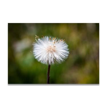 Imagem de Pintura em tela para parede, sementes de dente-de-leão germinadas, impressão de pôster para sala de estar, quarto, cozinha, escritório, 75 x 50 cm