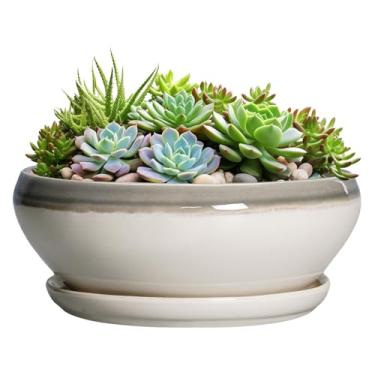 Imagem de SQOWL Grandes vasos de suculentas - vasos de bonsai de cerâmica de 30 cm com orifício de drenagem e pires, vaso redondo raso para plantas de interior, vaso de tigela ao ar livre, decoração de sala de