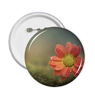 Imagem de Lindas flores vermelho escuro broche emblema botão decoração acessório 5 peças