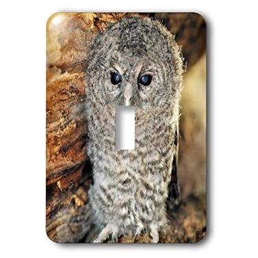 Imagem de 3dRose LLC lsp_9903_1 Tawny Owl, Strix Aluco coruja jovem aragão Espanha, interruptor de interruptor único