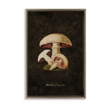 Imagem de Stupell Industries Vintage Portobello Mushroom Framed Floater Canvas Wall Art Design por Tina Higgins Designs, Inc., Moldura flutuante marrom, 53 x 78 cm