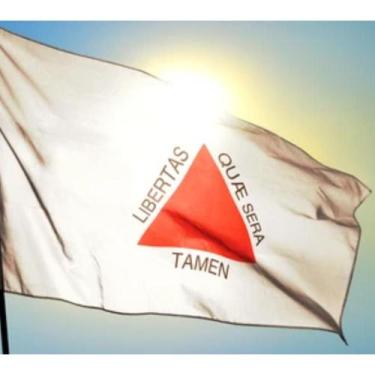 Imagem de Bandeira Minas Gerais Oficial Grande 150 x 90 Cm  Envio já - WCAN