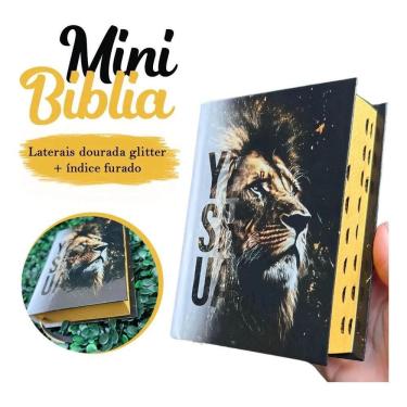 Imagem de Mini Bíblia Infantil De Bolsa Com Índice Letra Pequena Arc Y