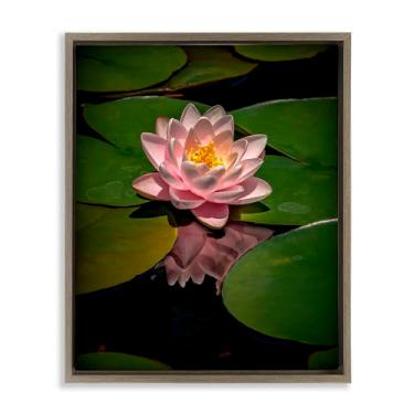 Imagem de Stupell Industries Arte de parede em tela flutuante preta de lótus rosa entre lírios, design de Phillip Flowers, 78 x 63 cm