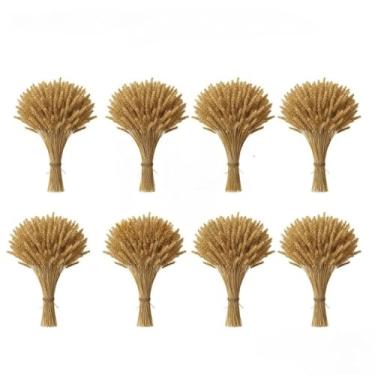 Imagem de 400 Hastes De Trigo Seco Para Decoração Festa Junina Arraiá Enfeites Artigos Mesa Arranjo Elegante(08 Maços (320 Hastes))