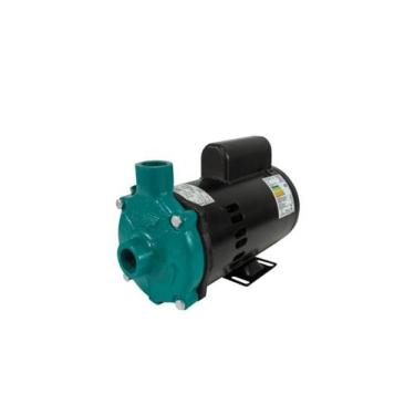 Imagem de Motobomba Standard 1.5cv 60Hz 110/220V ECS-150ME Eletroplas, Bivolt