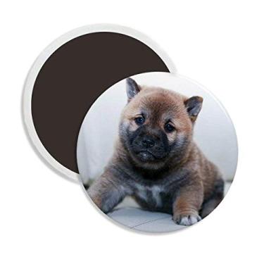 Imagem de Pippy Dog Pet Animal Linda Imagem Redonda Cerâmica, Decoração Lembrança Ímã