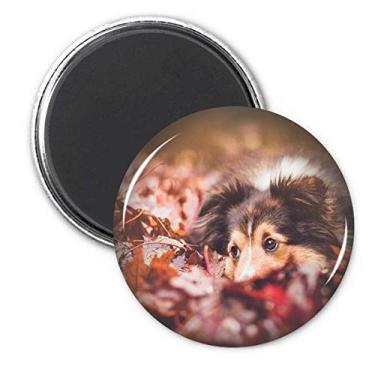 Imagem de Adesivo para decoração de folhas de animal de estimação para foto e geladeira