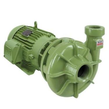 Imagem de Bomba Centrífuga Bc-21 R 1 1/2 3.0 Cv Monofásico Schneider