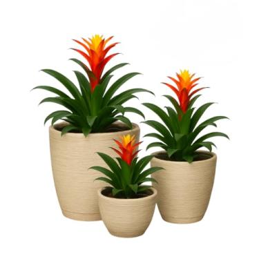 Imagem de Kit 3 Vasos Bege Polietileno Planta Bojo Coluna + Bojo Escovado Casa Decorativo Sala