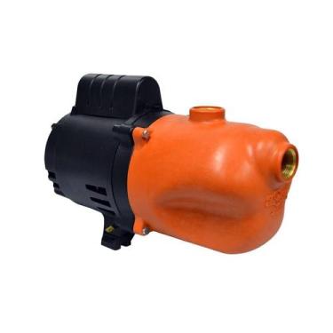 Imagem de Bomba dancor da2 aspirant1/2 110v