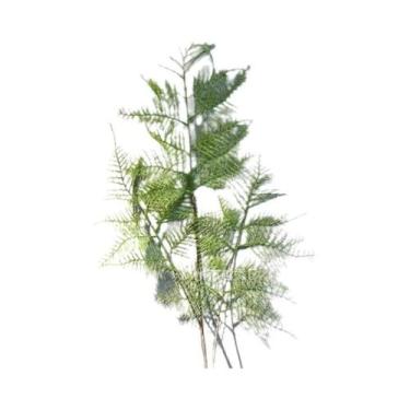 Imagem de Planta Verde Artificial De Aspargos Em Vaso De 86cm Para Casamento, De