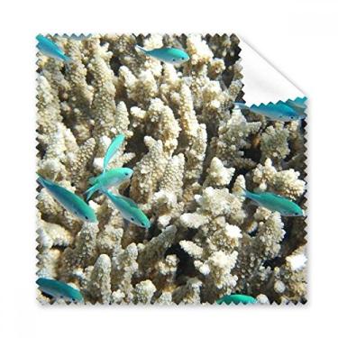Imagem de Pano de limpeza de imagem natureza Ocean Fish Science 5 peças