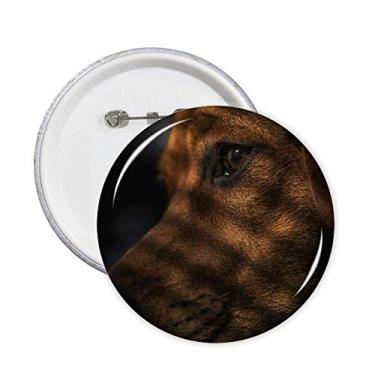 Imagem de Pinos de imagem sentimental de animal de estimação para cães, emblema, emblema, acessório, 5 peças