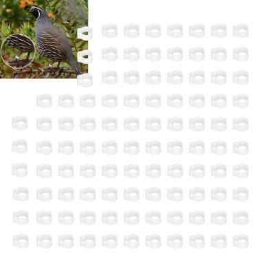 Imagem de Anel de perna de frango, anéis de perna de pombo reutilizáveis ​​para identificação e marcação de pombos para a maioria das pessoas(Branco)