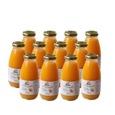 Imagem de Kit 12 unidades de Suco de Tangerina 100% Integral 300 ml Santo Celeiro Sem Açúcar e Sem Conservantes