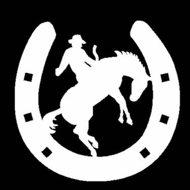 Imagem de Adesivo carro moto sertanejo country cowboy rodeio (Branco)