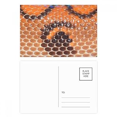 Imagem de Snack Leather Design Abstrato Conjunto de Cartão Postal de Aniversário Mailing Cartão de Agradecimento