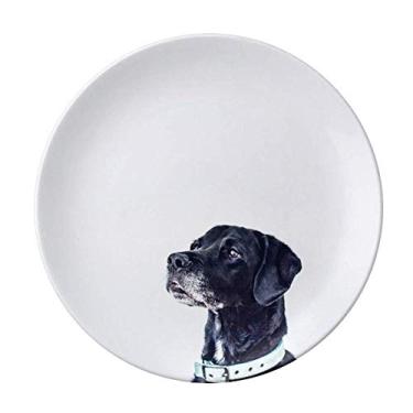 Imagem de Prato de fotografia de animal de estimação branco decorativo de porcelana salver louças de jantar