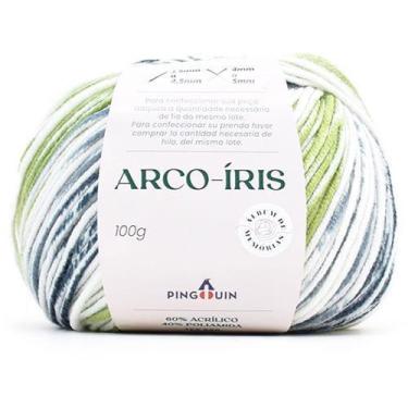 Imagem de Fio Arco-Íris Pingouin 100g - Coleção Álbum de Memórias, 9239 PADRÃO