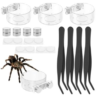 Imagem de Conjunto de pratos de alimentação de aranha saltadora, tigela magnética de água para répteis, acessórios de gabinete de aranha saltadora para anfíbios répteis (branco, 8 peças)