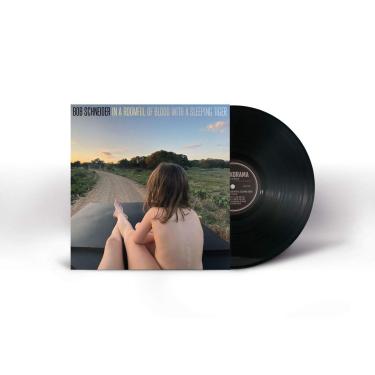Imagem de In a Roomful of Blood with a Sleeping Tiger [Disco de Vinil]