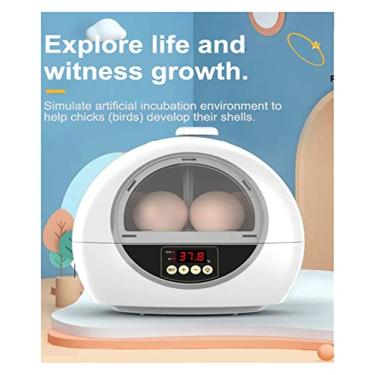 Imagem de Incubadora de ovos, máquina de incubação de aves, 6 ovos de galinha, incubadora de pássaros, máquina de incubação de ovos, controle automático de temperatura, codorna, papagaio, chocadeira, suprimento