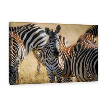 Imagem de SDYJ6GSW Imagens de animais em preto e branco para decoração de parede Zebra pastando na savana africana imagem de cavalo pintura de arte de parede zebra decoração de parede para sala de estar 45 x 30