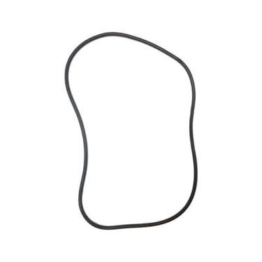 Imagem de Anel Oring Vedação Crivo Hiper Duchas Cardal - PS452