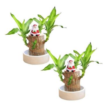 Imagem de Toco de planta em vaso Hydroponic Brazilian Wood Mini (2, vermelho) - 