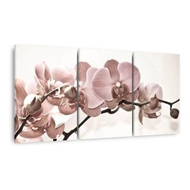 Imagem de Quadro Flores Orquídeas Bege Para Sala Recepção Tecido - Wall Frame