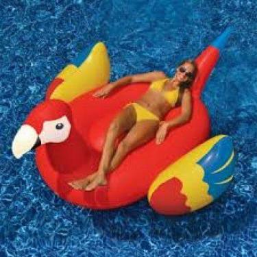 Imagem de Boia Inflavel Arara Gigante Swimline