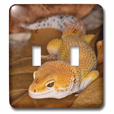 Imagem de 3dRose Lsp_73099_2 Leopard Gecko morph, Lizard, PakistanAS28 AJE000 Adam Jones Interruptor duplo