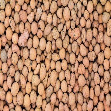 Imagem de Terra nobre argila expandida 500g