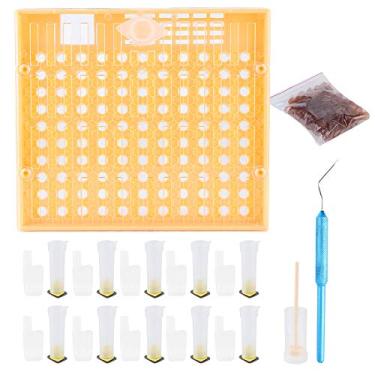 Imagem de de criação de kit de kit de kit de células de abelhas plástico Cultivação de caixa de coloração de gaiolas de gaiola de gaiola de colméia de colméia de colméia de apicultura